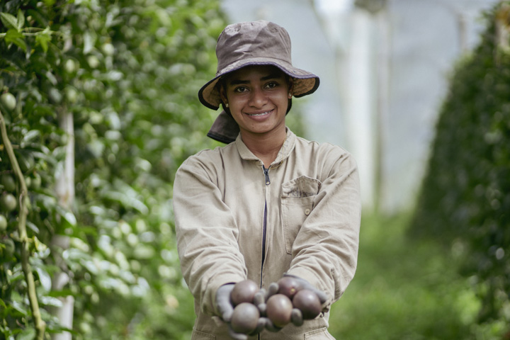Agricultora con gulupas en la mano