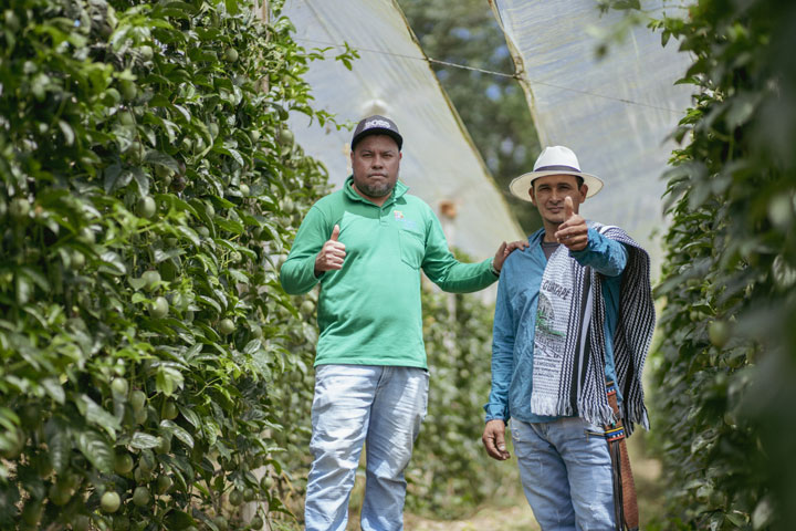 Asesor y productor prosagro