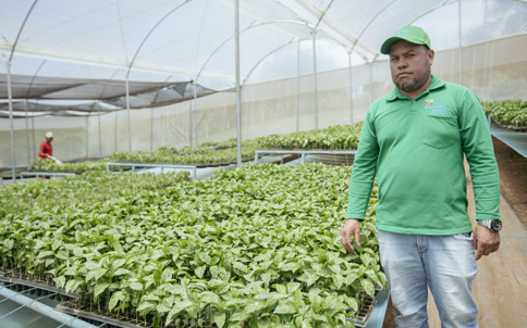 En prosagro export construimos invernaderos de semi techo