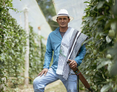 Productor aliado y agricultor