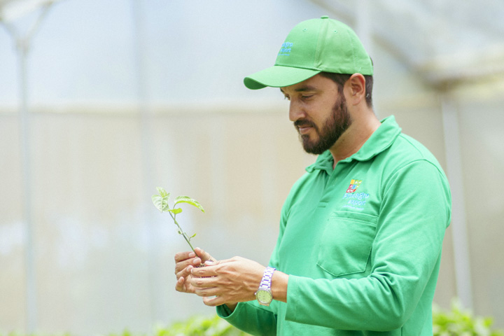 Trabajador con gulupa en la mano