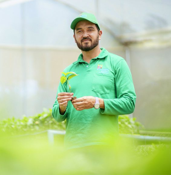 mision-y-vision-deprosagro-export